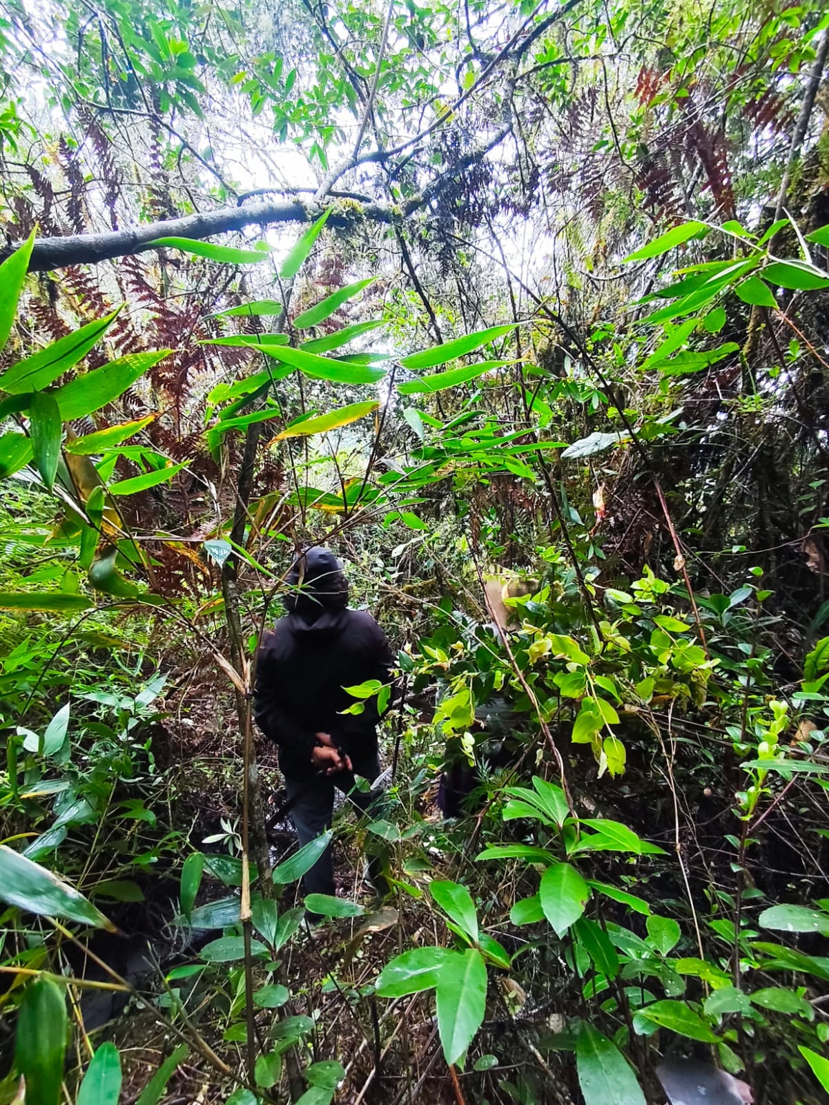 Aventura y trekking en los Andes ecuatorianos