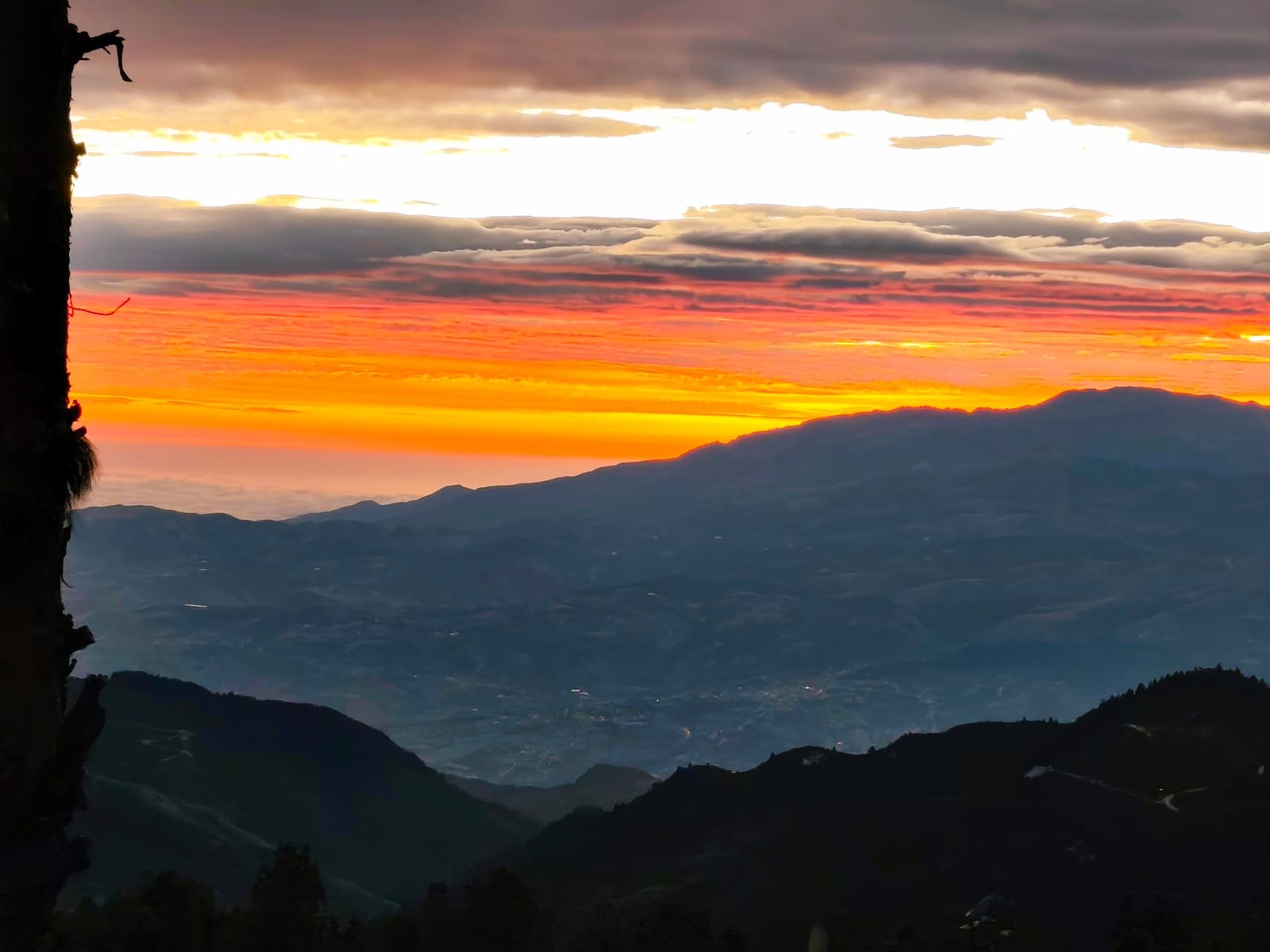 Bosque andino con neblina en los Andes del Azuay